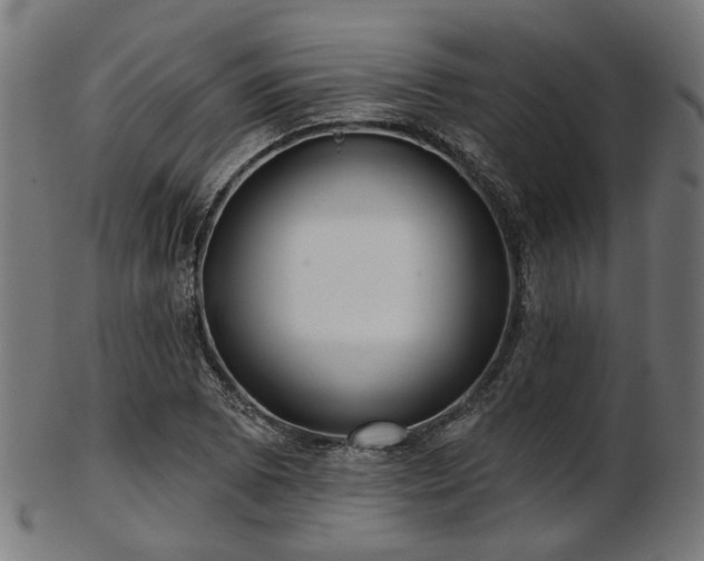 X0000103461073200809121558