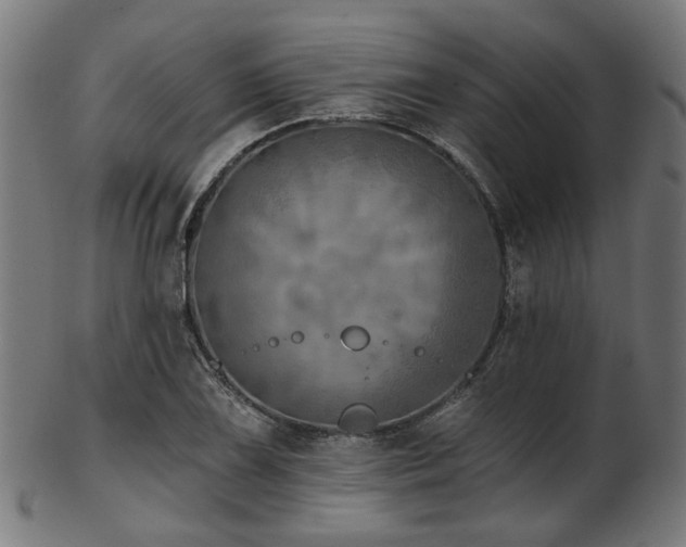 X0000103461075200809121558