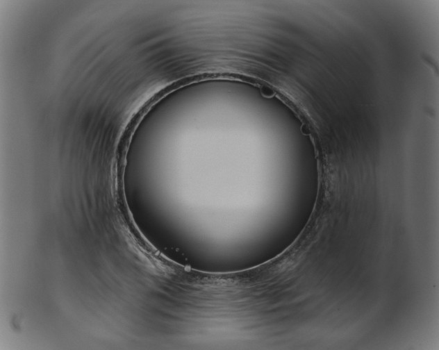X0000103461076200809121558