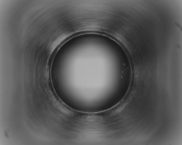 X0000103461077200809121558