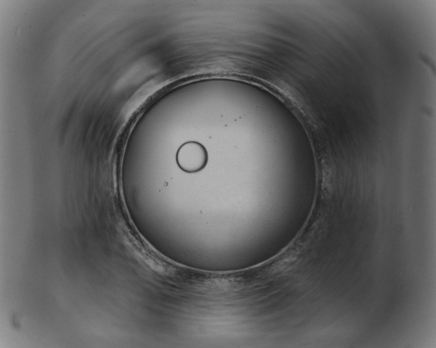 X0000103461078200809121558