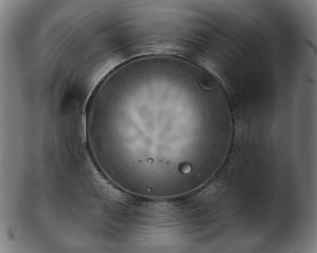 X0000103461079200809121558