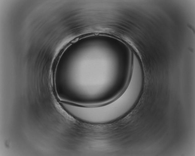 X0000103461080200809121558