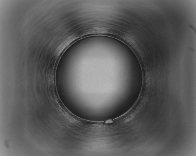 X0000103461081200809121558