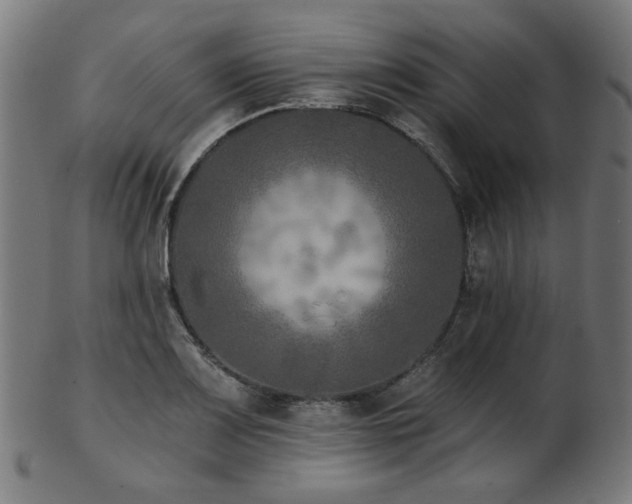 X0000103461083200809121558
