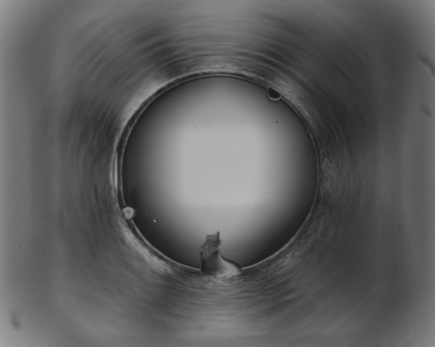 X0000103461084200809121558