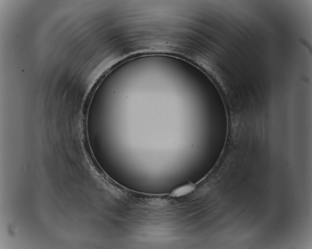 X0000103461085200809121558