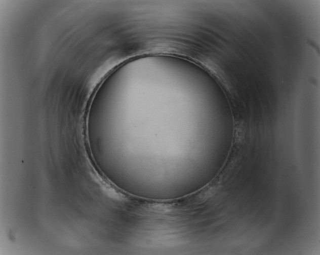 X0000103461086200809121558