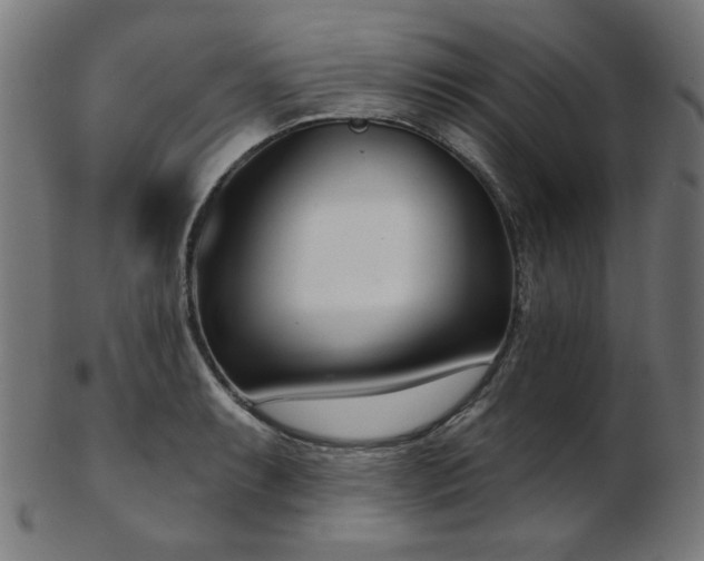 X0000103461087200809121558