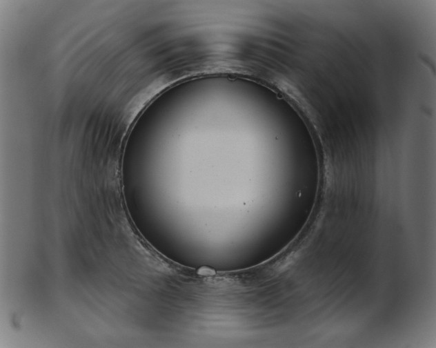 X0000103461089200809121558