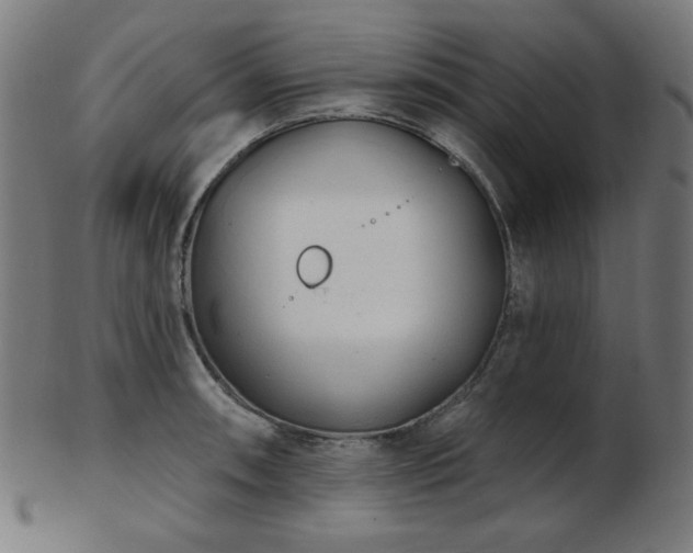 X0000103461090200809121558