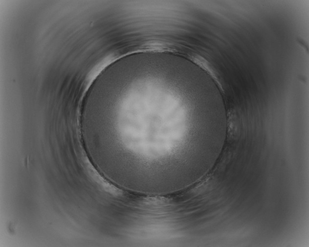 X0000103461091200809121558