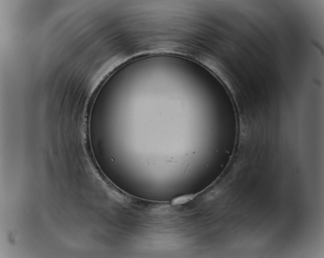 X0000103461093200809121558