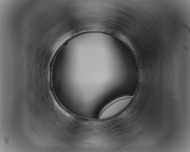 X0000103461095200809121558