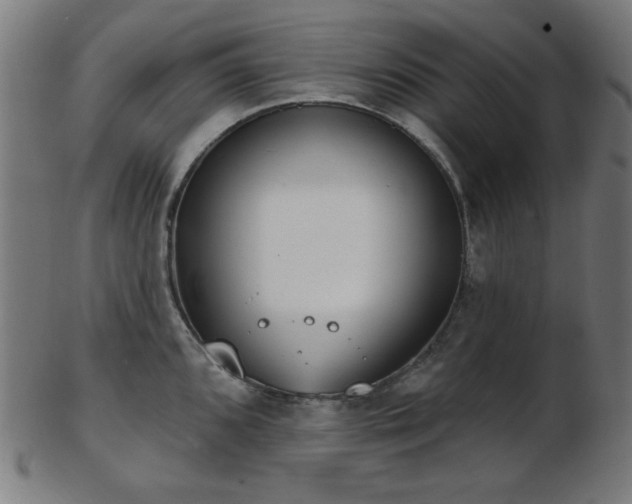 X0000103461096200809121558