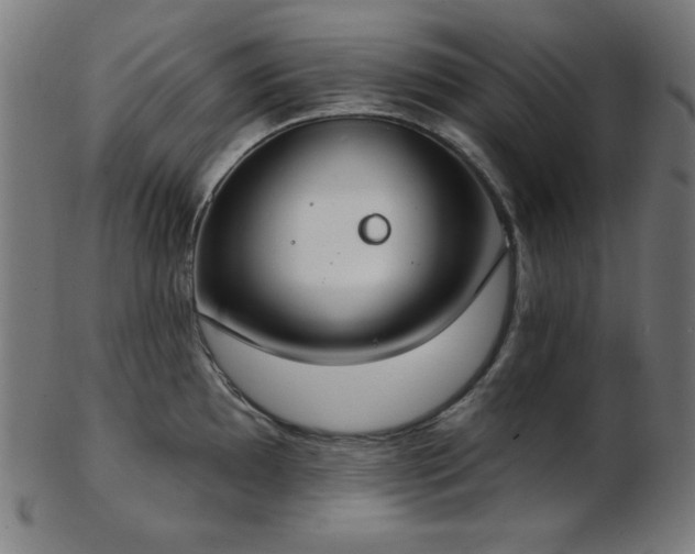 X0000103461097200809121558