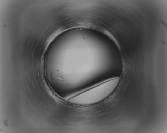X0000103461099200809121557