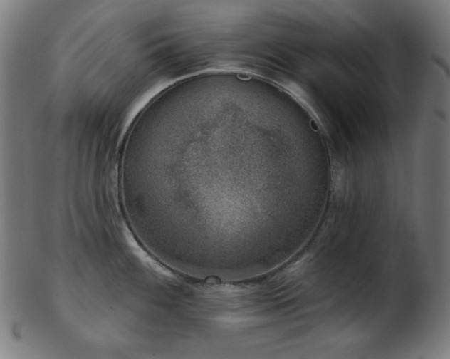 X0000103461100200809121557
