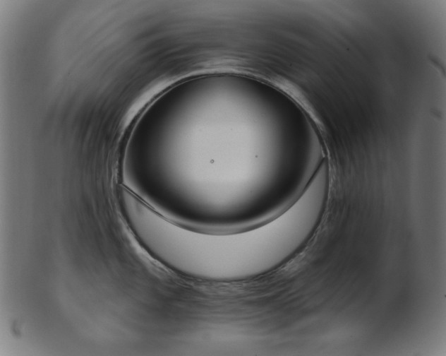 X0000103461101200809121557