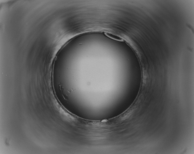 X0000103461102200809121557