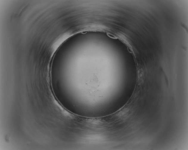 X0000103461103200809121557