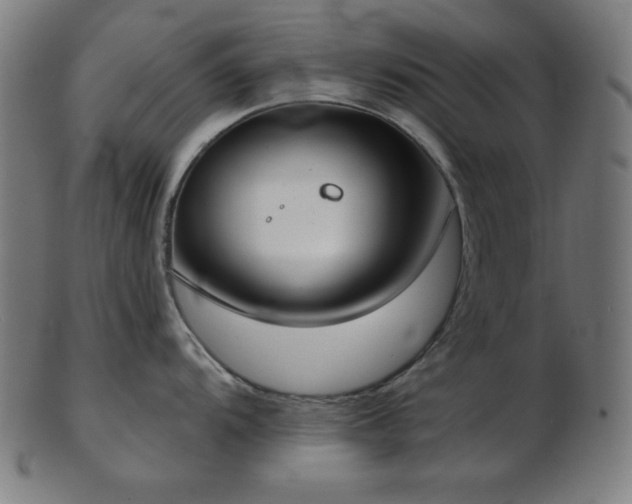 X0000103461104200809121557