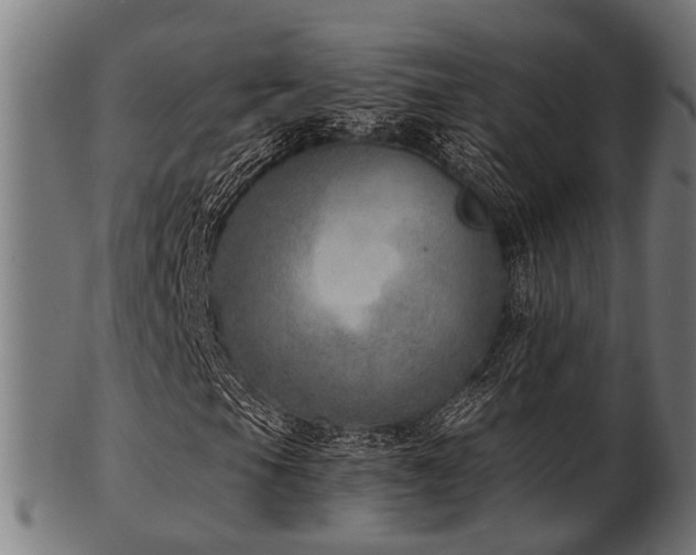 X0000103461105200809121557