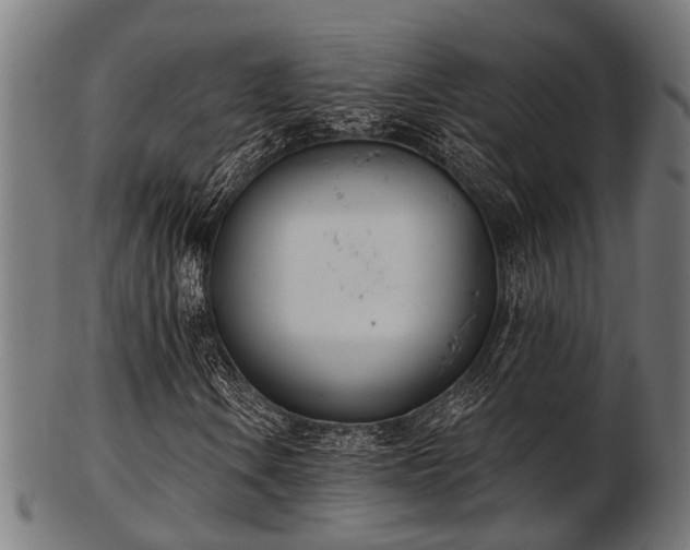 X0000103461106200809121557