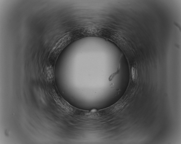 X0000103461107200809121557