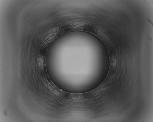 X0000103461108200809121557