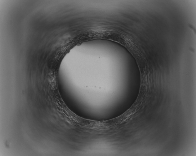 X0000103461109200809121557