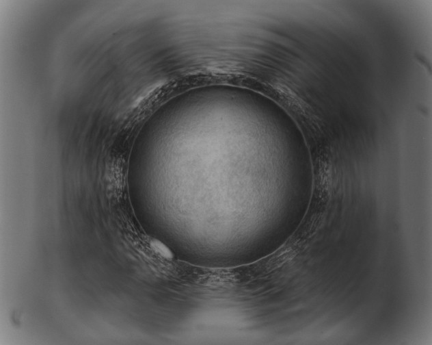 X0000103461110200809121557
