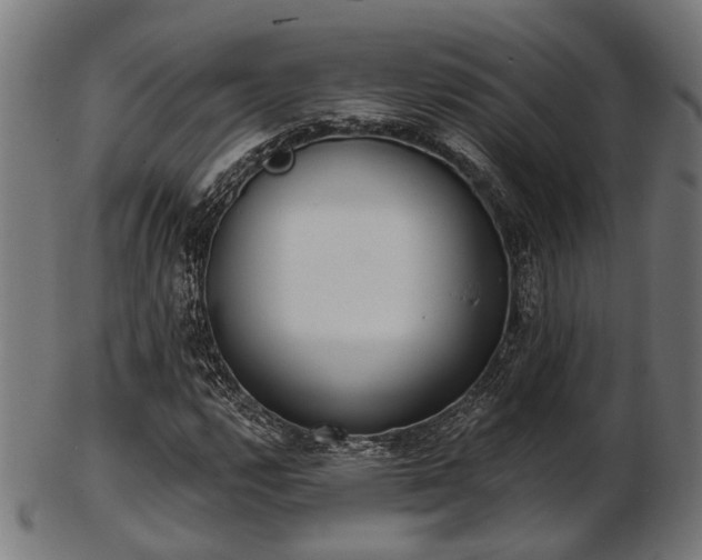 X0000103461112200809121557