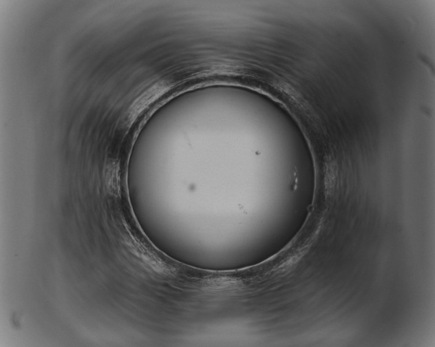 X0000103461113200809121557