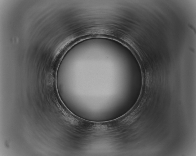 X0000103461115200809121557