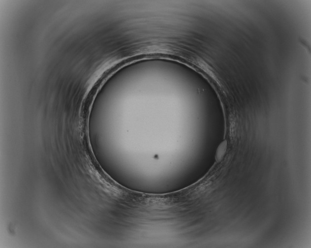 X0000103461116200809121557