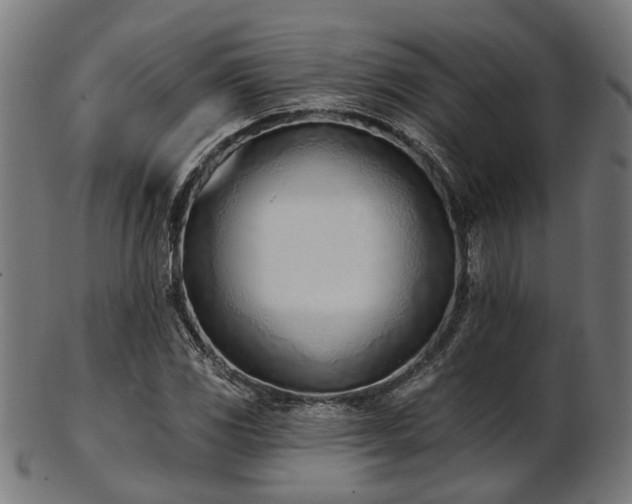 X0000103461117200809121557