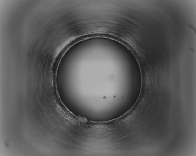 X0000103461118200809121557