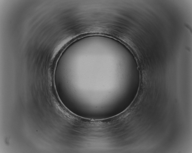 X0000103461120200809121557