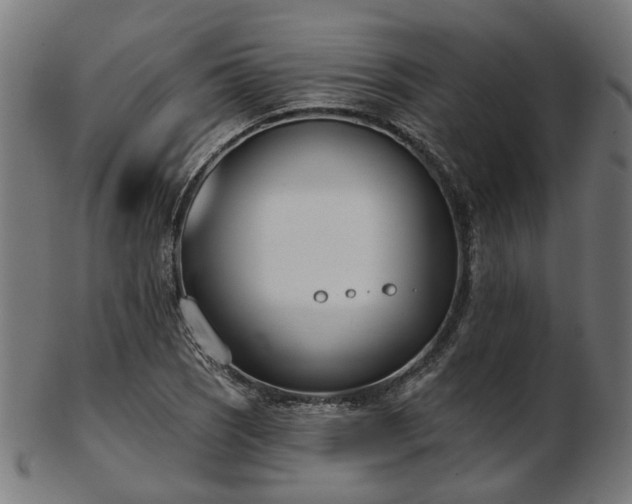 X0000103461121200809121557