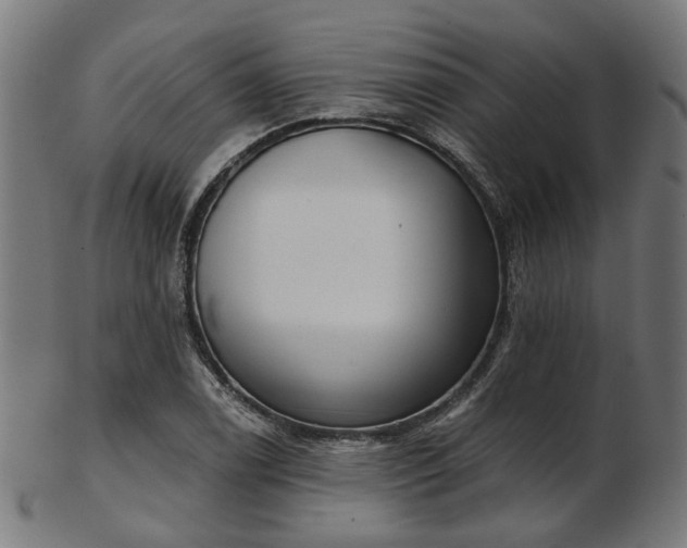 X0000103461122200809121557