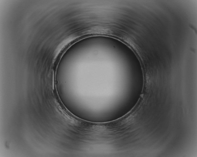 X0000103461123200809121557