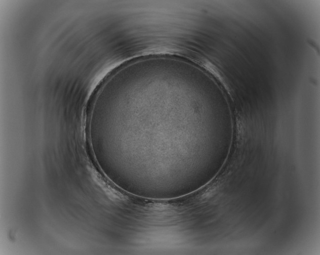 X0000103461124200809121557