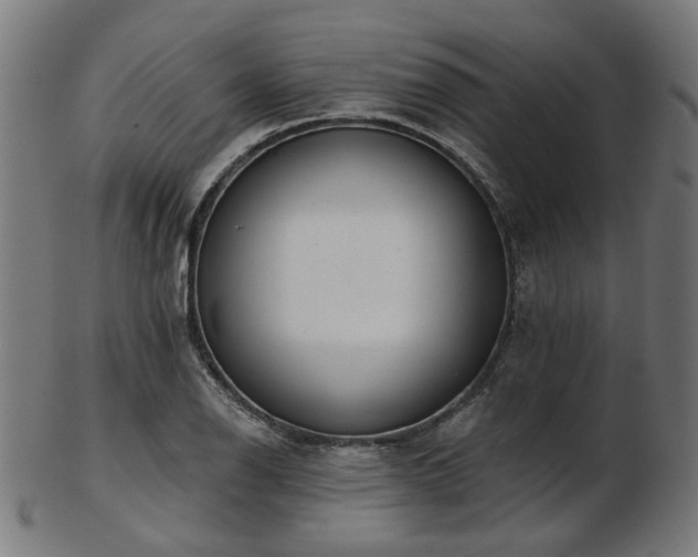 X0000103461126200809121557