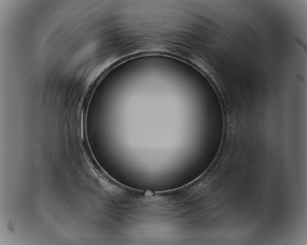 X0000103461127200809121557