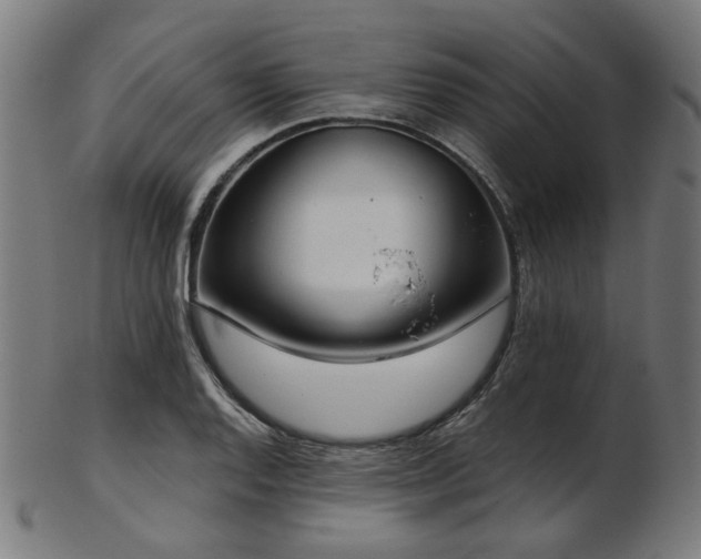 X0000103461128200809121557