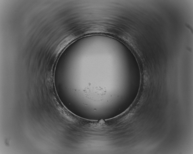 X0000103461129200809121557