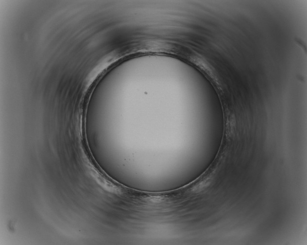 X0000103461130200809121557