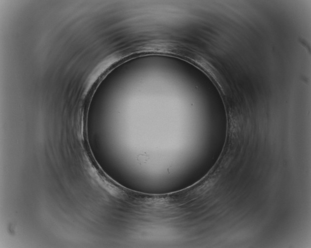 X0000103461131200809121557