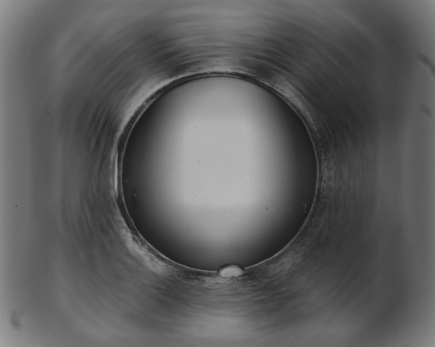 X0000103461132200809121557